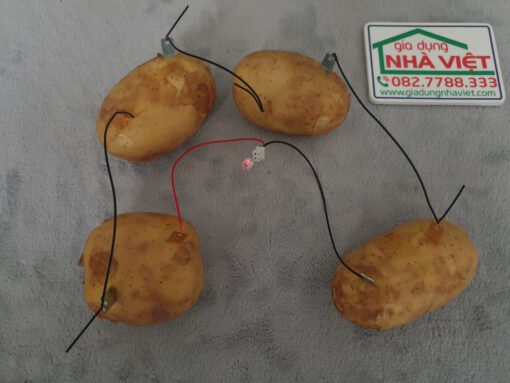 Bộ thí nghiệm pin năng lượng từ rau củ quả - Pin khoai tây - Pin điện hóa - Hình ảnh 3