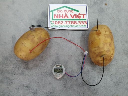 Bộ thí nghiệm pin năng lượng từ rau củ quả - Pin khoai tây - Pin điện hóa - Hình ảnh 2