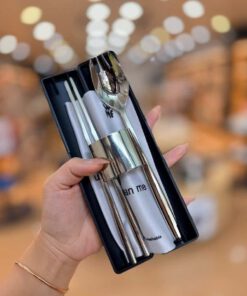 Bộ thìa đũa My2Go Cutlery WMF 1295056040